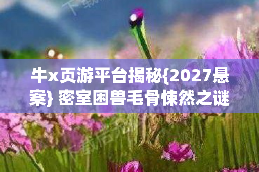 密室困兽毛骨悚然之谜图片