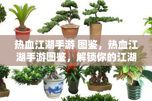 热血江湖手游 图鉴,热血江湖手游图鉴,解锁你的江湖之旅 热血江湖手游 图鉴,热血江湖手游图鉴,解锁你的江湖之旅