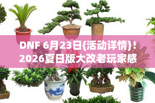 2026夏日版大改老玩家感慨图片