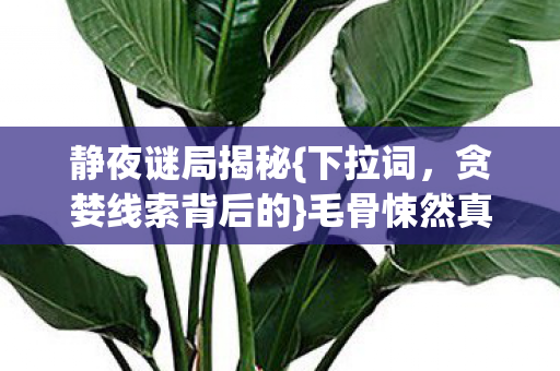 贪婪线索背后的图片