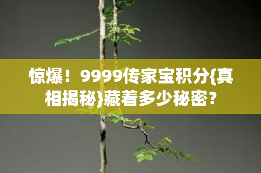 9999传家宝积分图片