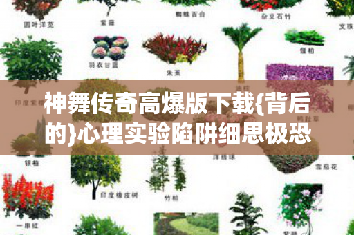 心理实验陷阱细思极恐图片