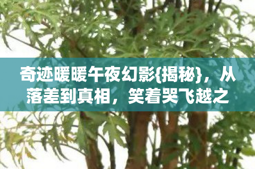 奇迹暖暖午夜幻影图片