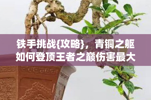 青铜之躯如何登顶王者之巅伤害最大化图片