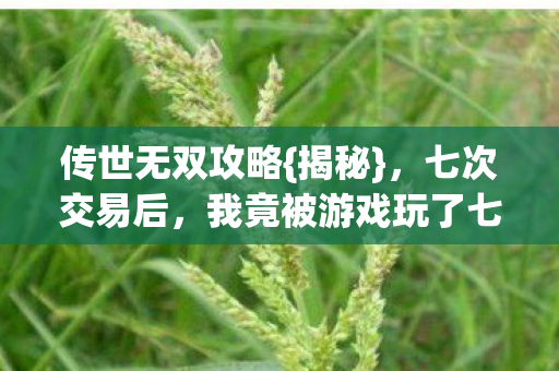 我竟被游戏玩了七年图片
