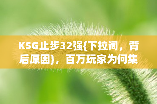 百万玩家为何集体破防图片