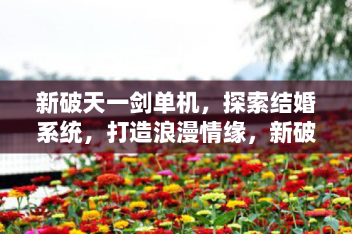 新破天一剑单机，探索结婚系统，打造浪漫情缘，新破天一剑单机版，探索结婚系统，打造浪漫情缘之旅