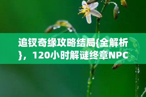 120小时解谜终章NPC深情告白图片