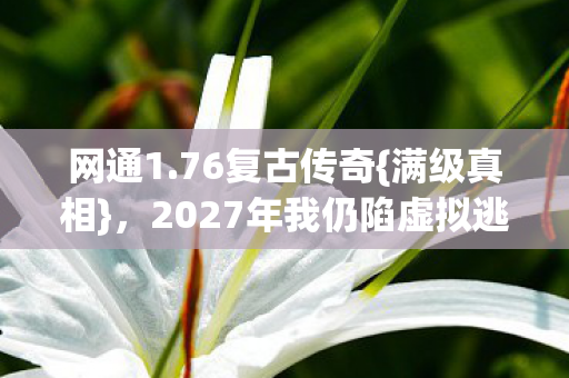 2027年我仍陷虚拟逃亡图片