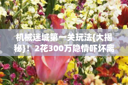 2花300万隐情吓坏离职老兵图片