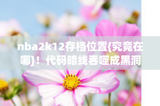 nba2k12存档位置图片