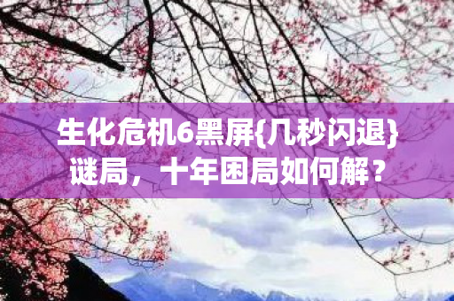 生化危机6黑屏图片