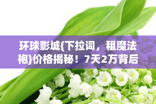 7天2万背后的隐情图片
