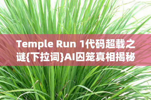 Temple Run 1代码超载之谜图片