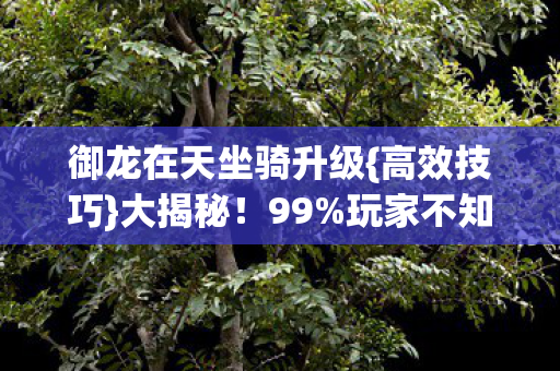 御龙在天坐骑升级图片