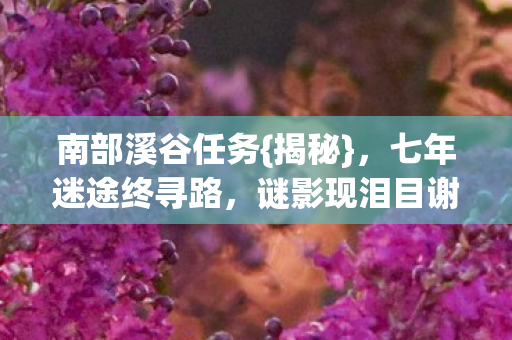 七年迷途终寻路图片
