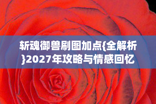 2027年攻略与情感回忆图片