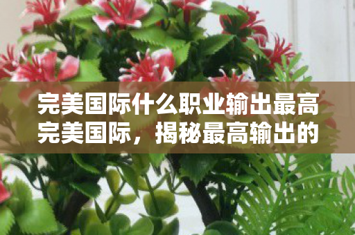 完美国际什么职业输出最高完美国际图片