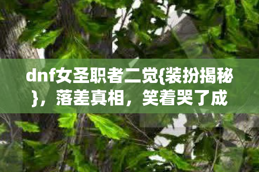 dnf女圣职者二觉图片