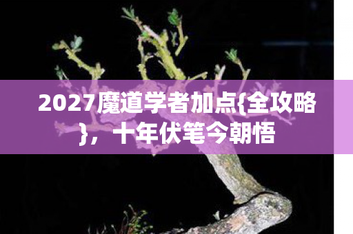 2027魔道学者加点图片
