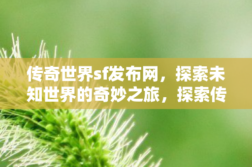 探索未知世界的奇妙之旅图片
