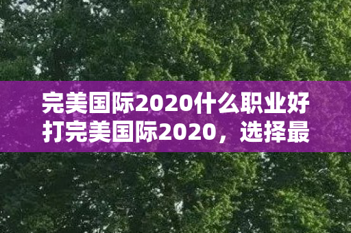 完美国际2020什么职业好打完美国际2020图片