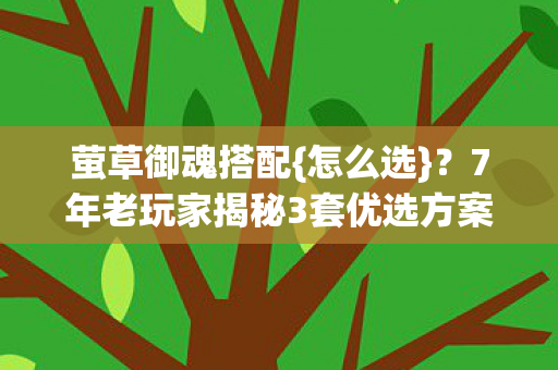 7年老玩家揭秘3套优选方案图片