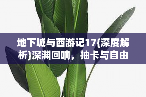 地下城与西游记17图片