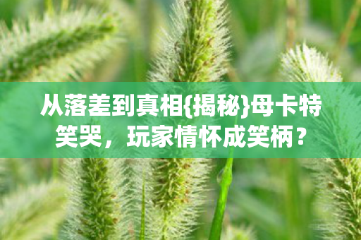 玩家情怀成笑柄图片