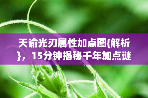 15分钟揭秘千年加点谜局图片