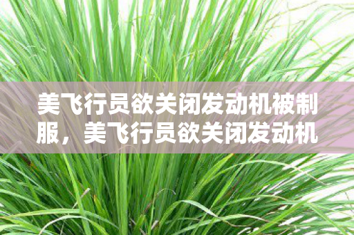 美飞行员欲关闭发动机被制服图片