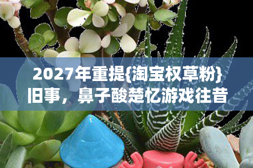 鼻子酸楚忆游戏往昔图片