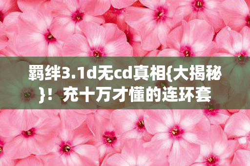 充十万才懂的连环套图片
