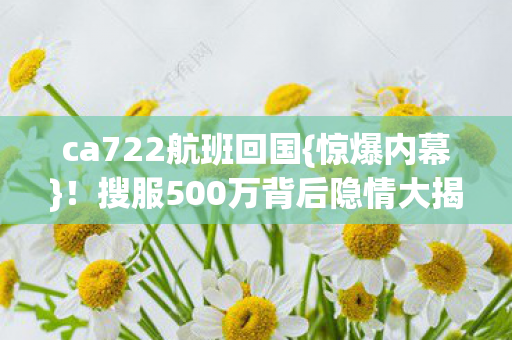 搜服500万背后隐情大揭秘图片