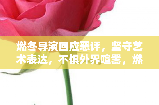 燃冬导演坚守艺术表达图片