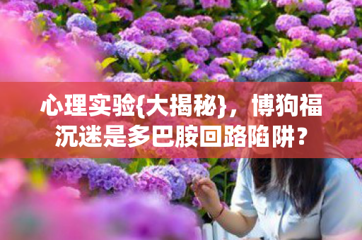 博狗福沉迷是多巴胺回路陷阱图片