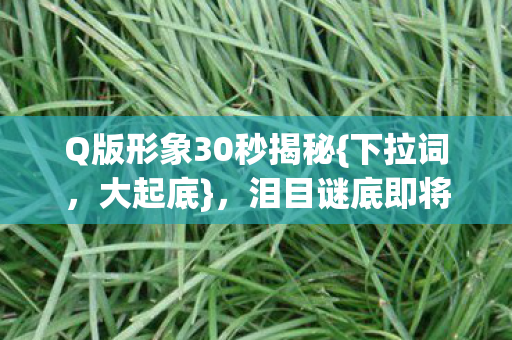 Q版形象30秒揭秘图片