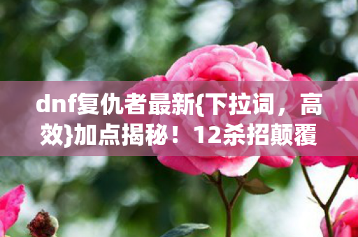 dnf复仇者最新图片