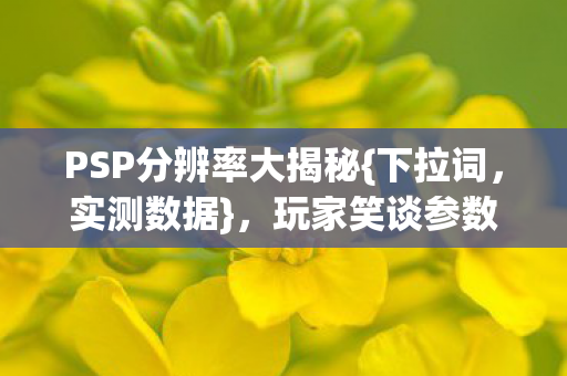 PSP分辨率大揭秘图片