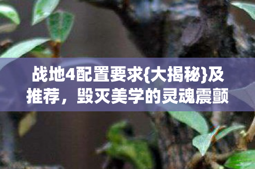 毁灭美学的灵魂震颤图片
