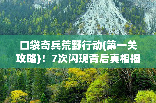 7次闪现背后真相揭秘图片