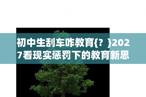 2027看现实惩罚下的教育新思考图片