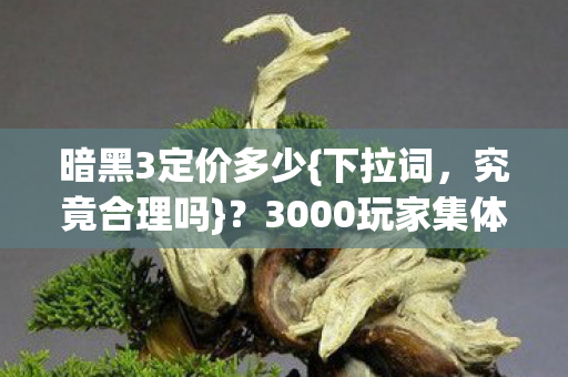 3000玩家集体破防吐槽图片