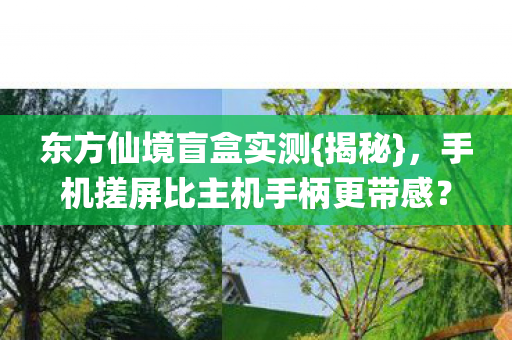 手机搓屏比主机手柄更带感图片
