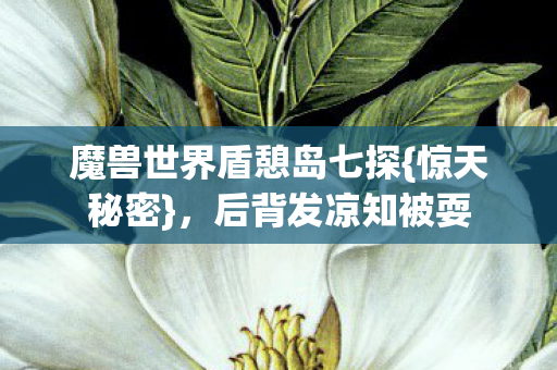 魔兽世界盾憩岛七探图片