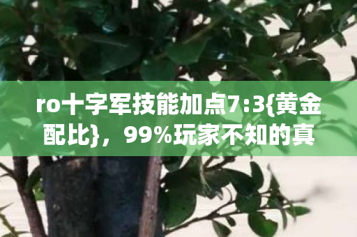 ro十字军技能加点7图片