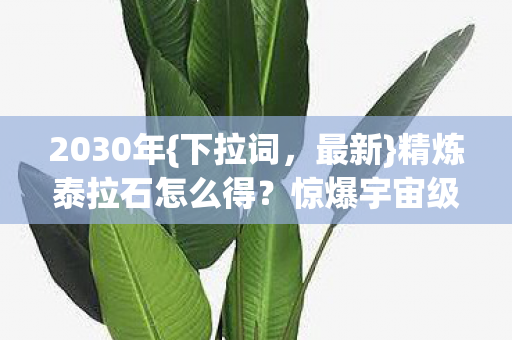 精炼泰拉石怎么得图片