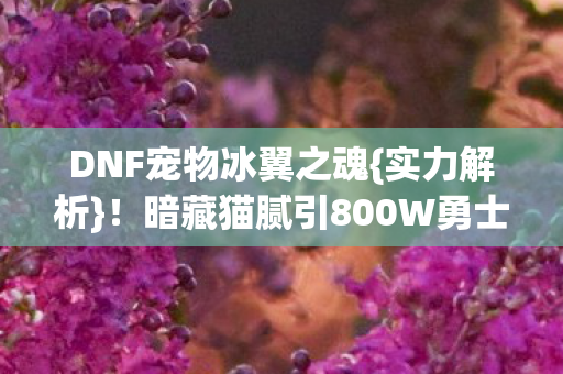 暗藏猫腻引800W勇士热议图片