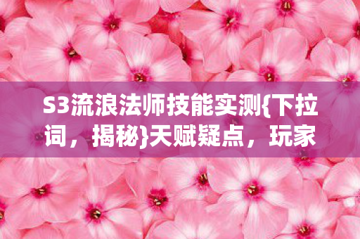S3流浪法师技能实测图片