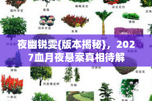 2027血月夜悬案真相待解图片